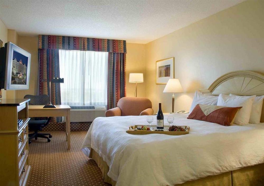 Hilton Garden Inn Orlando At Seaworld Williamsburg Habitación foto